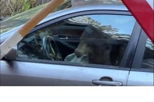 Παγκόσμια Ημέρα Ζώων και στο αυτοκίνητο: Πώς θα είναι πιο ασφαλή - εικόνα 8