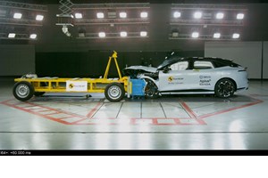 Η Volkswagen προσέλαβε 100 πρόβατα για το εργοστάσιό της στην Πολωνία - εικόνα 6