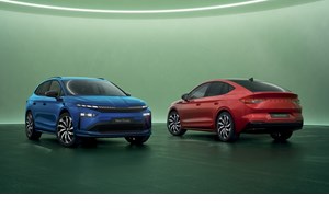 Οι κάτοχοι ενός συγκεκριμένου Ford έχουν πλέον το δικό τους προϊόν περιποίησης - εικόνα 6