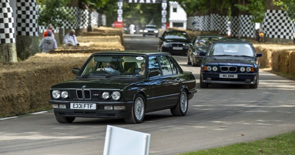 Παρέλαση υπέροχων αγωνιστικών Mercedes-Benz στο Φεστιβάλ του Goodwood (εικόνες) - εικόνα 10