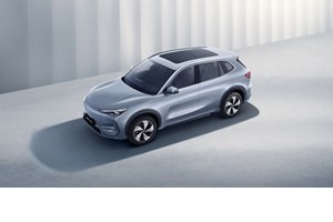 Πώς σε σώζει ένα Volkswagen αν χάσεις τις αισθήσεις σου στο τιμόνι (video) - εικόνα 7