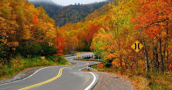 Τι μπορεί να σημαίνει για την Tesla η υποστήριξη Musk στον Trump - εικόνα 7