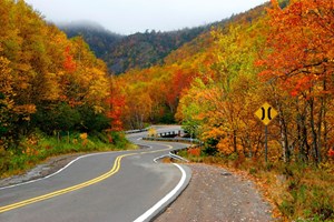 Τι μπορεί να σημαίνει για την Tesla η υποστήριξη Musk στον Trump - εικόνα 7