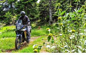 Πόσο κοστίζουν στην Ελλάδα οι νέες Aprilia Touareg Rally και Moto Guzzi Stelvio Duecento Tributo - εικόνα 7