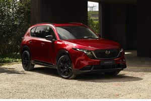 Η Tesla αντιμετωπίζει ξαφνικά ένα απροσδόκητο πρόβλημα - εικόνα 2