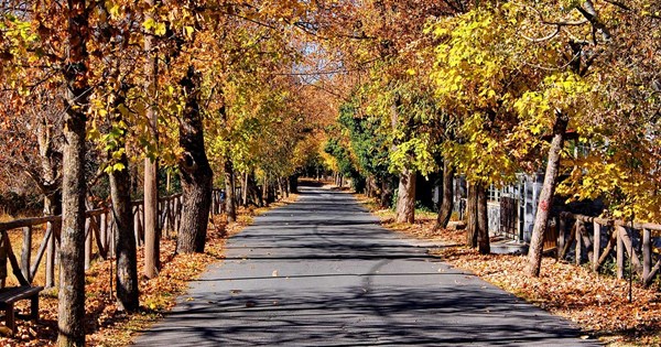 Σε ποια χώρα η Citroen σταματά να πουλά αυτοκίνητα μετά από έναν αιώνα - εικόνα 4