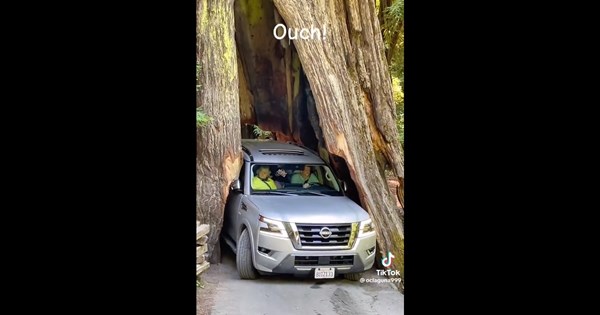 Θεσσαλονίκη: H δημοτική αστυνομία αφαιρεί πινακίδες από Ferrari (video) - εικόνα 4