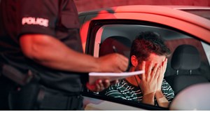 Η Volkswagen προσέλαβε 100 πρόβατα για το εργοστάσιό της στην Πολωνία - εικόνα 7