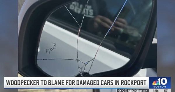 Στο στόχαστρο η απόκρυψη πινακίδων-τεράστια πρόστιμα - εικόνα 6