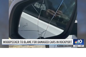 Στο στόχαστρο η απόκρυψη πινακίδων-τεράστια πρόστιμα - εικόνα 6