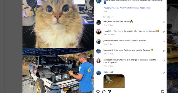 Δείτε τον Jake Paul να ανατινάζει ένα Cybertruck με μια γροθιά (video) - εικόνα 1