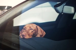 Για πρώτη φορά ένα ηλεκτρικό αυτοκίνητο είναι πρώτο σε πωλήσεις σε όλη την Ευρώπη - εικόνα 7