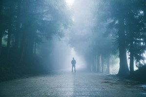 Δείτε τον πιο όμορφο δρόμο στον πλανήτη-η απίθανη ιστορία του (video) - εικόνα 1