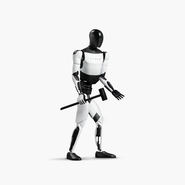 Tesla Bot Figure
