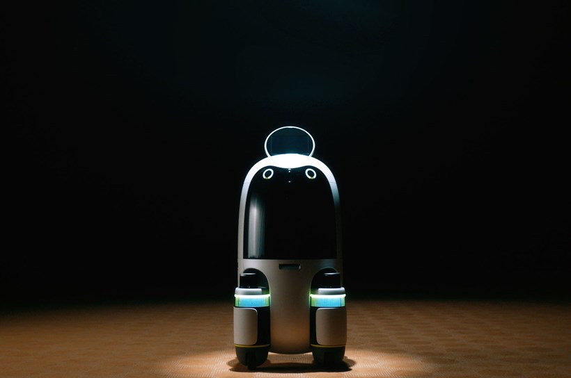 Hyundai robots