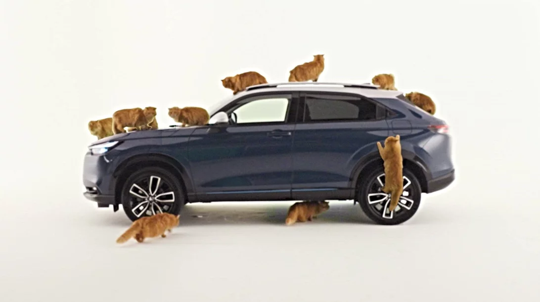 Μεγάλη καινοτομία τις Honda για τις γάτες στο αυτοκίνητο