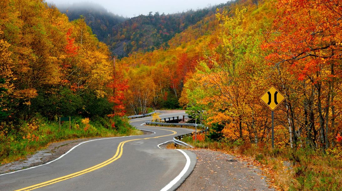 Δείτε τον πιο όμορφο δρόμο στον πλανήτη-η απίθανη ιστορία του (video)