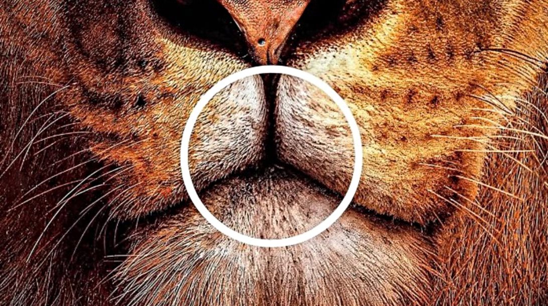 Η διαφημιστική καμπάνια της Mercedes που έγινε viral