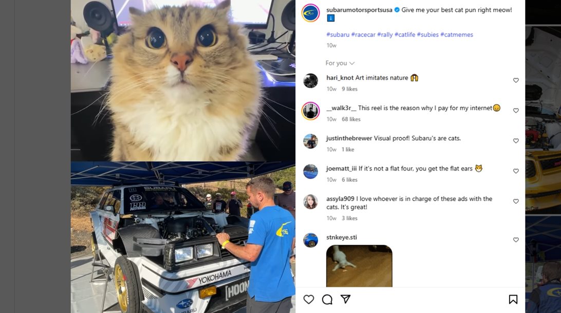 Subaru και γάτες: Ο καλύτερος συνδυασμός στο instagram