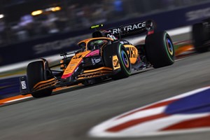 F1: Γέμισε η πίστα σαύρες και σταμάτησαν οι δοκιμές (video) - εικόνα 2