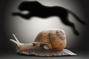 Chery Tiggo 7 PHEV με μηδέν επιτόκιο φέρνει η Black Friday - εικόνα 5