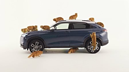 Μεγάλη καινοτομία τις Honda για τις γάτες στο αυτοκίνητο