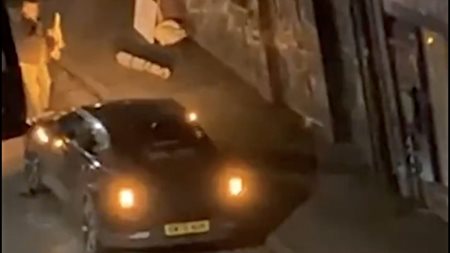 Διαδηλωτής με στόχο τον Musk μπέρδεψε Polestar με Tesla (video)