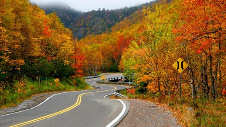 Δείτε τον πιο όμορφο δρόμο στον πλανήτη-η απίθανη ιστορία του (video)