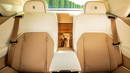 Αυτή η Rolls-Royce Spectre είναι αφιερωμένη σε έναν σκύλο και δεν το κρύβει καθόλου