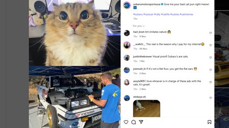 Subaru και γάτες: Ο καλύτερος συνδυασμός στο instagram