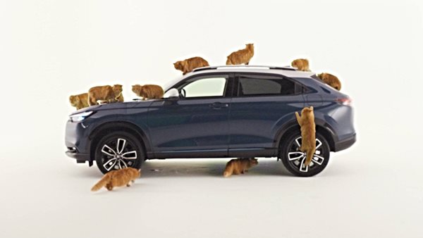 Μεγάλη καινοτομία τις Honda για τις γάτες στο αυτοκίνητο