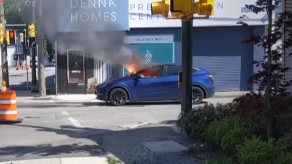 Ακόμα ένα Tesla στην πυρά