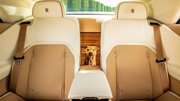 Αυτή η Rolls-Royce Spectre είναι αφιερωμένη σε έναν σκύλο και δεν το κρύβει καθόλου