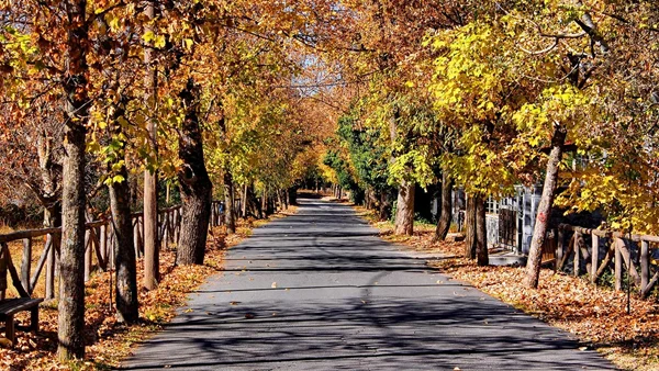 Ξεκινά η ανάπλαση στον διάσημο "Δρόμο της Αγάπης"-Που βρίσκεται και τι αλλάζει