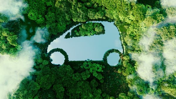 Πώς τα δέντρα οξιάς θα μας βοηθήσουν για ένα πραγματικά οικολογικό αυτοκίνητο