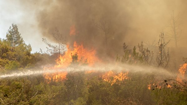 Φωτιά στη Βάρης-Κορωπίου: Εντολή εκκένωσης των περιοχών Λαμπρικά και Κίτσι