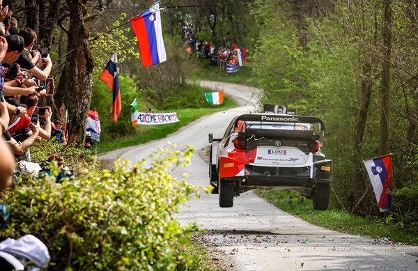 Video: Έπαιξαν ξύλο μέσα στην ειδική του WRC