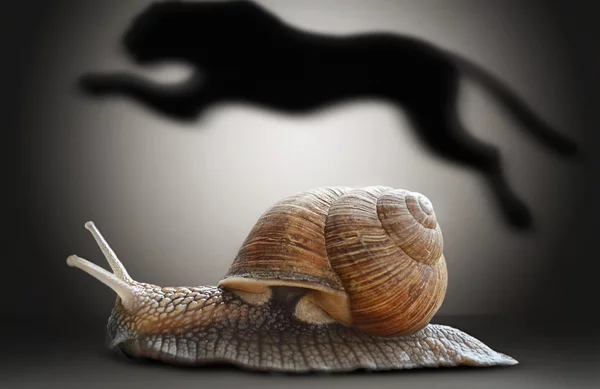 5 αυτοκίνητα με τη χειρότερη επιτάχυνση 0-100 km/h