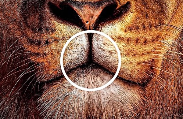 Η διαφημιστική καμπάνια της Mercedes που έγινε viral