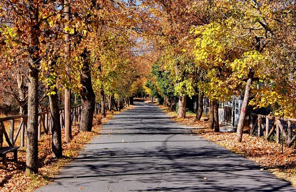 Ξεκινά η ανάπλαση στον διάσημο "Δρόμο της Αγάπης"-Που βρίσκεται και τι αλλάζει