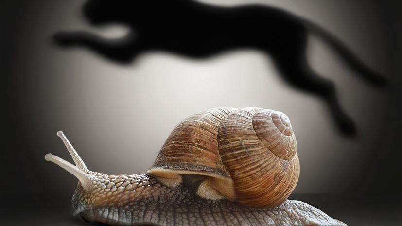 χαμηλή επιτάχυνση