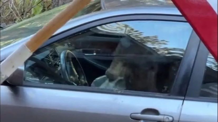 Toyota Corolla arkouda