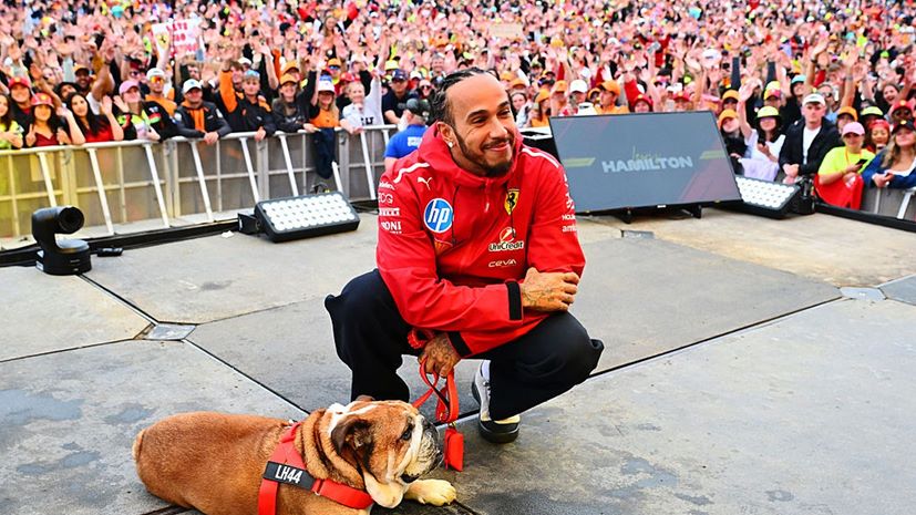 Lewis Hamilton σκύλος roscoe