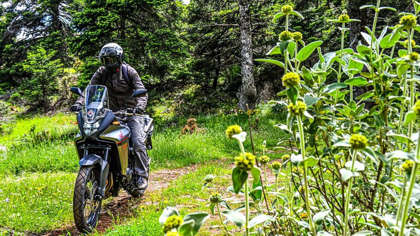 Honda XL750 Transalp