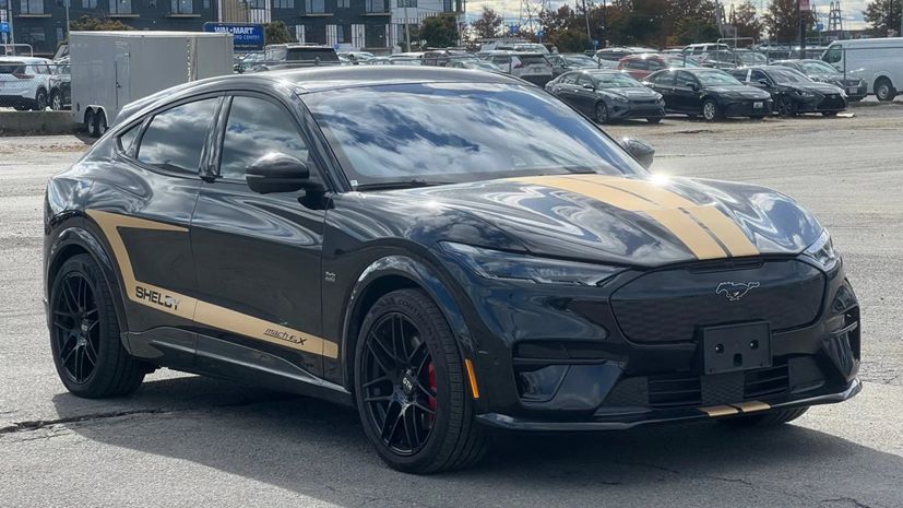 Shelby Mustang Hertz